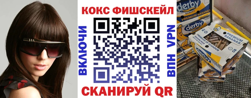 где можно купить наркотик  Лениногорск  Cocaine Fish Scale 
