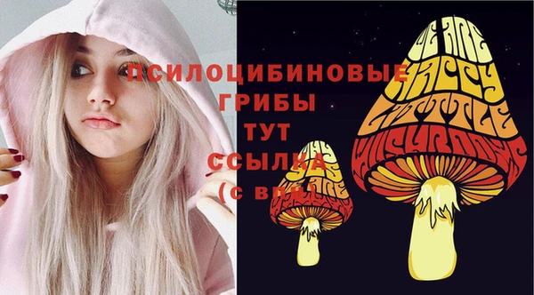 эйфоретик Зеленодольск