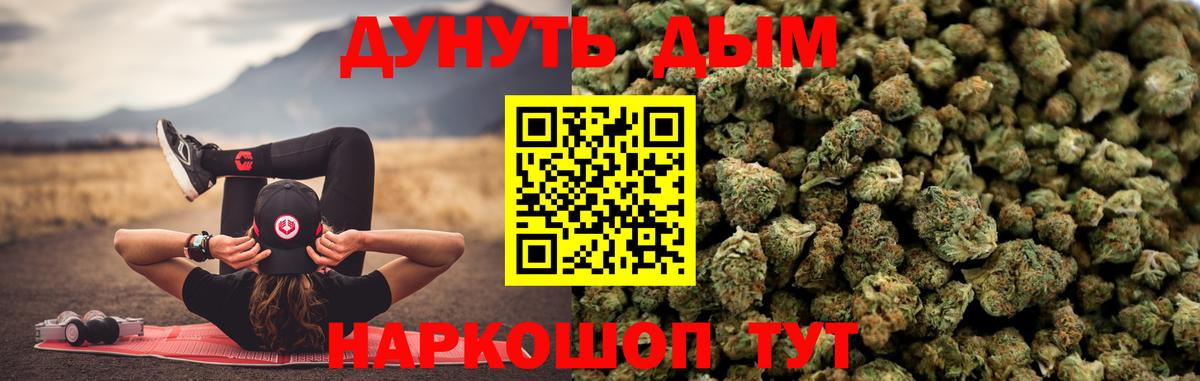 Конопля план Лениногорск